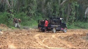 Jalan TMMD Sudah Dilalui Warga Kembang Seri Baru Membawa Hasil Kebun