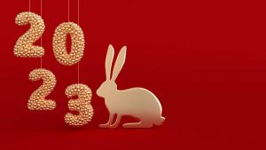 Pakar Fengshui dari Filipina Marites Allen ‘2023 Tahun Kelinci Air’ Shio Apa yang Hoki atau Ciong?