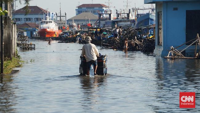 BMKG Minta Masyarakat Waspada, 21 Wilayah Pesisir Terancam Banjir Rob ...