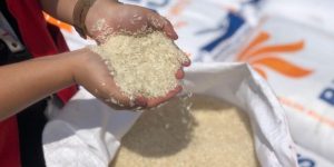 Beras Impor Masih Numpuk di Gudang Bulog, Ini Kisaran Harga Eceran Setelah Dipasarkan