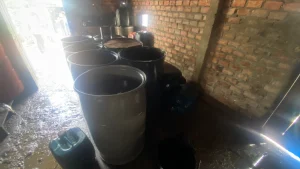 Timbun Ribuan Liter BBM Solar Bersubsidi, Dua Orang Diduga Pelaku Diciduk Polres Tanjab Barat