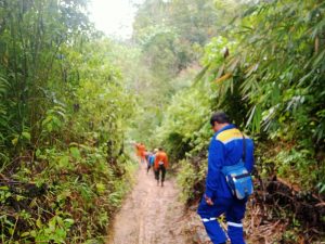Seorang Kakek Dikabarkan Hilang di Perkebunan Kayu Manis Desa Ambai Kabupaten Kerinci