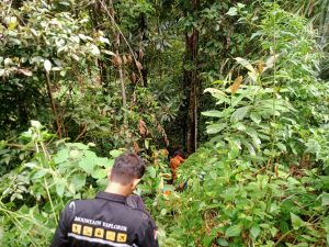 Tim Sar Perluas Area Pencarian 1 Orang yang Belum Kembali dari Ladang di Desa Ambai