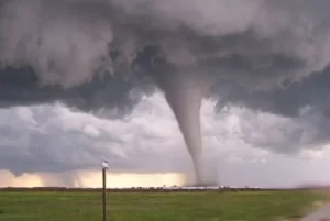 Waspada, Warga Kota Jambi Hindari Berteduh Dibawah Pohon Saat Hujan Disertai Angin Kencang