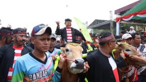 Kasad Buka dan Saksikan Lomba Karapan Sapi Piala Kasad Tahun 2023