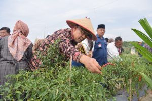 Inflasi Kota Jambi Bulan Maret Alami Penurunan