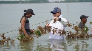 Selain Resi Gudang, Ini Upaya Brilian KBI Dukung Petani Rumput Laut