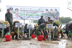 Gubernur Jambi Dampingi Pangdam II Sriwijaya “Mangrove For Better Life”