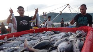 Sistem Resi Gudang Diminati Nelayan, Registrasi Komoditas Ikan Meningkat Tajam