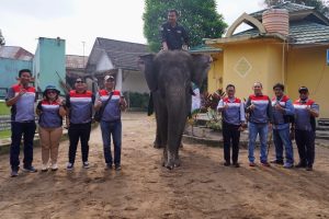 PHE Jambi Merang Giatkan Kelestarian Kehati di Kebun Binatang Taman Rimbo Jambi