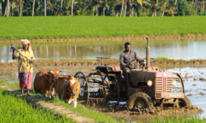 Mitigasi Risiko Dampak El-Nino, Pemerintah Dorong Implementasi Kredit Usaha Alsintan