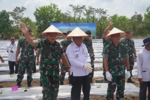 Pangdam II/Swj ikuti Tanam Perdana Cabe di Jambi