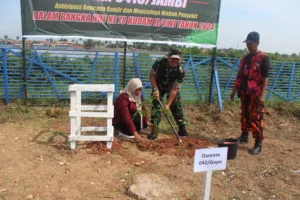 Kodim 0415/Jambi Gelar penghijauan di Kota Jambi