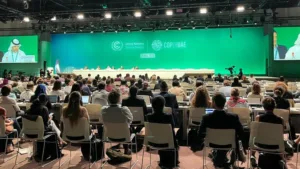 Komentar IFRC Tentang Perjanjian COP28 Dubai Terkait Perubahan Iklim