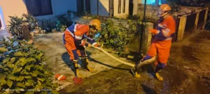 Jelang Tengah Malam, Damkartan Kota Jambi Evakuasi Ular Sanca di Rumah Warga