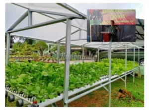 Tekan Inflasi, Pangdam II/Sriwijaya Serukan Gerakan Tanaman Pangan di Pekarangan