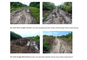 Kata Warga, 10 Tahun Romi Jabat Bupati Tanjabtim: Pentingkan Sirkuit Ketimbang Jalan Rusak