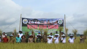 Dandim 0416/Bute Dampingi Gubernur Jambi dalam Gerakan Percepatan Tanam Padi