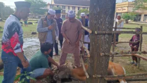 Brimob Polda Jambi Sembelih 12 Hewan Kurban di Idul Adha 1445H