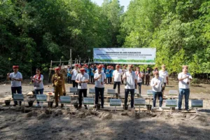 Peringati Hari Lingkungan Hidup Sedunia, Yayasan AHM Tanam Puluhan Ribu Mangrove