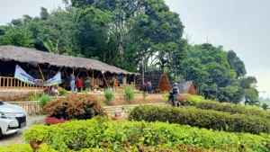 Desa Wisata Buluh Perindu Desa Baru Semerah