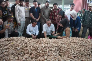 Al Haris Dampingi Mendag Zulhas Lepas Ekspor Pinang Jambi ke Arab Saudi dan Bangladesh