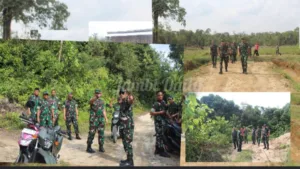 Danrem 042/Gapu Tinjau Lahan Ketahanan Pangan Terpadu di Sarolangun