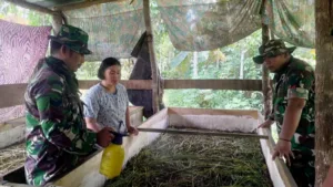 Satgas TMMD Ke-121 Kodim 0415/Jambi Bantu Tingkatkan UMKM Budidaya Jangkrik