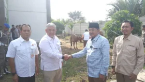 Dukung Ketahanan Pangan di Tanjab Barat, SKK-Migas PetroChina Serahkan Bantuan 29 Ekor Ternak Sapi