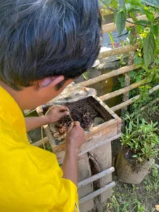 Komitmen Nyata Pertamina Dalam Upaya Pelestarian Alam dan Kesejahteraan Masyarakat Melalui Budidaya Lebah Madu Trigona