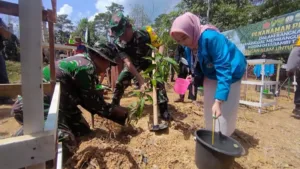 TNI dan Masyarakat Desa Sukamaju Tanam 500 Pohon dalam Program TMMD ke-121 untuk Lingkungan Berkelanjutan