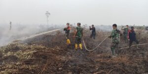Dandim 0419/Tanjab Tinjau dan Pantau Karhutla di Desa Catur Rahayu