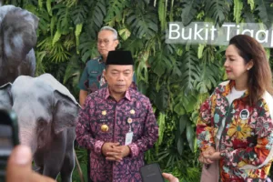 Al Haris Apresiasi Permata Bank Lestarikan Konservasi Alam Bukit Tiga Puluh