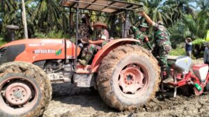 Kodim 0415/Jambi Manfaatkan Lahan Perkebunan untuk Tanam Padi Gogo