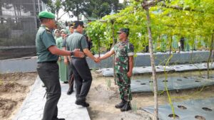 Pangdam II/Sriwijaya Apresiasi Urban Farming Kodim 0415/Jambi: Inovasi Kecil, Manfaat Besar