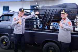 Kapolda Jambi Serahkan Hewan Kurban untuk Ponpes Ma’had Al Mubarak