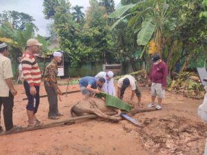 Rayakan Idul Adha, PWI Provinsi Jambi Potong 2 Sapi