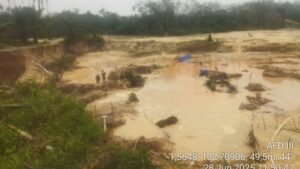 PETI Merajalela, Petani Mitra PT Makin Sungai Bengkal Barat Tebo Resah