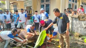 Idul Adha 1446, Mesjid Darussalam Bagikan 586 Kupon Daging Qurban