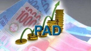 Target PAD Merangin 2025 Terancam Gagal, BPPRD Angkat Tangan