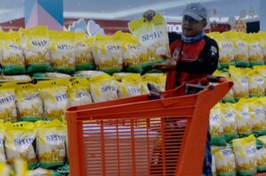 Stok Beras Bulog Menggunung, Kemendagri Beberkan Risiko RI Merugi usai Distribusi Belum Jangkau Target 7.100 Ton per Hari