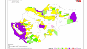 Makatara Update Luasan dan Sebaran Hutan di Jambi 2025, Begini Kondisinya