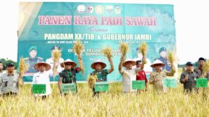 Panen Raya Padi di Tebo: Danrem 042/Gapu Bersama Bupati Teguhkan Kemanunggalan TNI-Rakyat untuk Swasembada Pangan