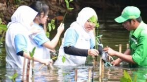 Kemhut Percepat Rehabilitasi Mangrove di Riau