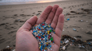 Kemenkes Minta Masyarakat Waspada Dampak Mikroplastik pada Air Hujan