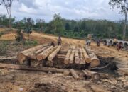 Warga dan Satgas TMMD Bangun Jembatan di Desa Petajen