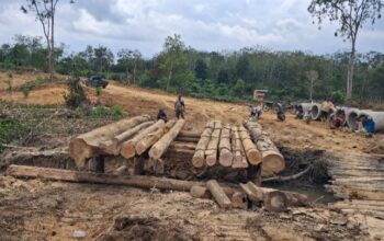 Warga dan Satgas TMMD Bangun Jembatan di Desa Petajen