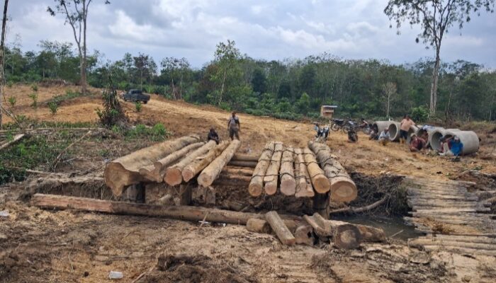 Warga dan Satgas TMMD Bangun Jembatan di Desa Petajen
