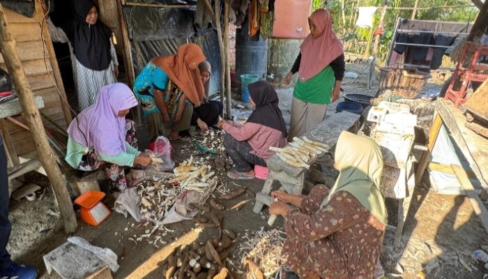 Sentuhan PHE Jambi Merang Ubah Singkong Jadi Sumber Harapan