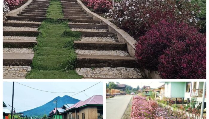 Renah Alai: Benteng Terakhir Penjaga Hutan yang Kini Terancam Retak